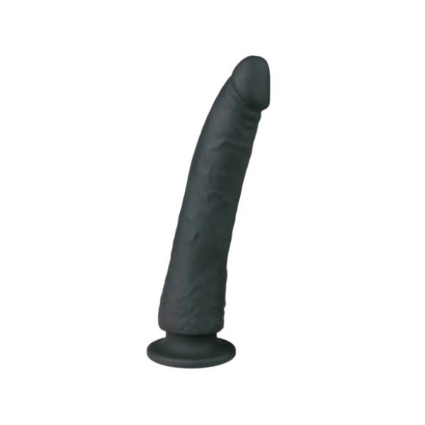 Easytoys - realistický dildó s prísavkou - silikón - 21 cm - čierny